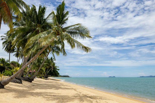 Évasion Enchantée : Nuit Magique en Igloo sous les Aurores Boréales