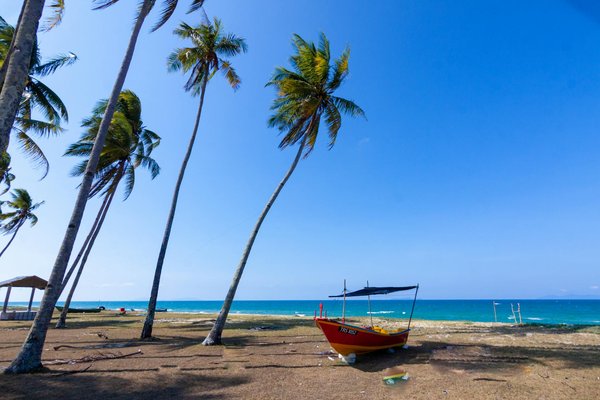 Évasion Citadine : Découvrez Notre Sélection des Plus Beaux Hôtels Urbains