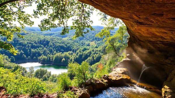 Explorez les trésors naturels du Périgord : cavités, eaux et bois